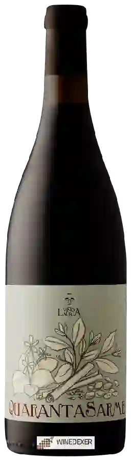Weingut Vino Lauria - Quarantasarme Weingut Vino Lauria - Quarantasarme