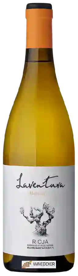 Weingut Laventura - Malvasia Weingut Laventura - Malvasia