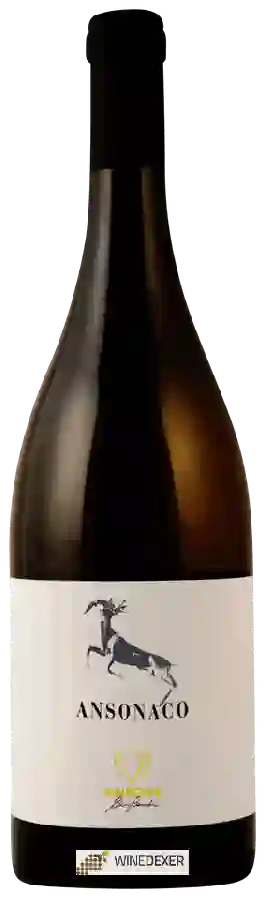 Weingut Le Anfore - Ansonaco Weingut Le Anfore - Ansonaco