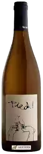 Weingut Le Batossay - Pied