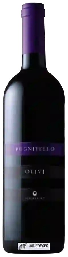 Weingut Olivi Le Buche - Pugnitello Toscana Weingut Olivi Le Buche - Pugnitello Toscana