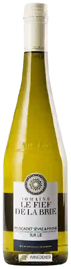 Weingut Le Fief de la Brie - Sur Lie Muscadet Sévre et Maine