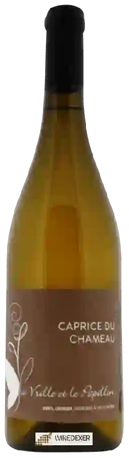 Weingut La Vrille et le Papillon - Caprice du Chameau Weingut La Vrille et le Papillon - Caprice du Chameau
