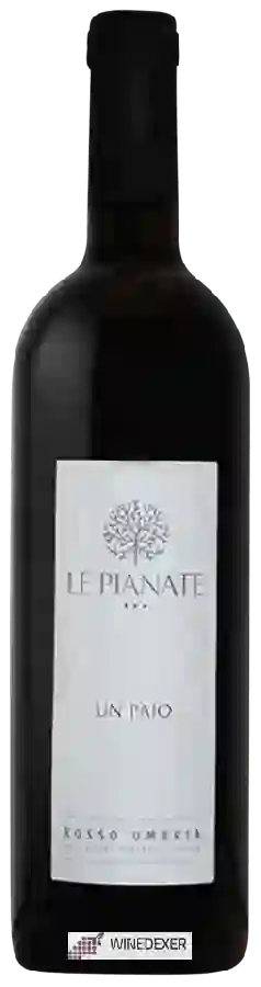 Weingut Le Pianate - Un Paio Rosso Weingut Le Pianate - Un Paio Rosso