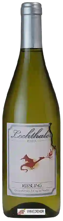 Weingut Lechthaler - Riesling