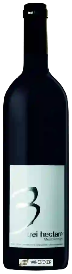 Weingut Legacy - 3 Hectare Feteascã Neagrã