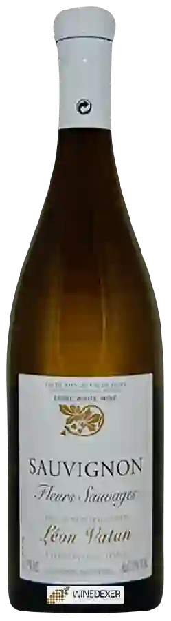 Weingut Leon Vatan - Fleurs Sauvages Sauvignon Weingut Leon Vatan - Fleurs Sauvages Sauvignon