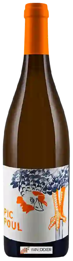 Weingut Les Équilibristes - Picpoul Weingut Les Équilibristes - Picpoul