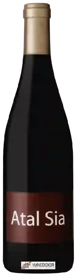 Château Ollieux Romanis - Atal Sia Château Ollieux Romanis - Atal Sia