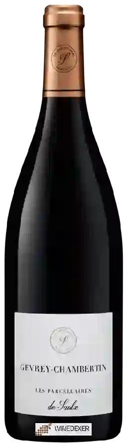 Weingut Les Parcellaires de Saulx - Gevrey-Chambertin