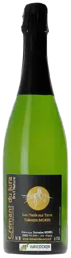 Weingut Les Pieds Sur Terre - Crémant du Jura Brut Nature Weingut Les Pieds Sur Terre - Crémant du Jura Brut Nature