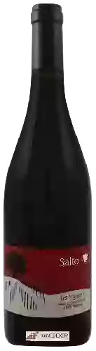 Weingut Les Vigneaux - Salto