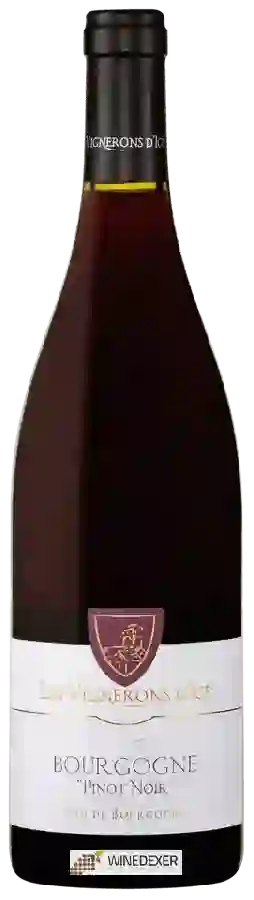 Weingut Les Vignerons d'Igé - Bourgogne Pinot Noir Weingut Les Vignerons d'Igé - Bourgogne Pinot Noir