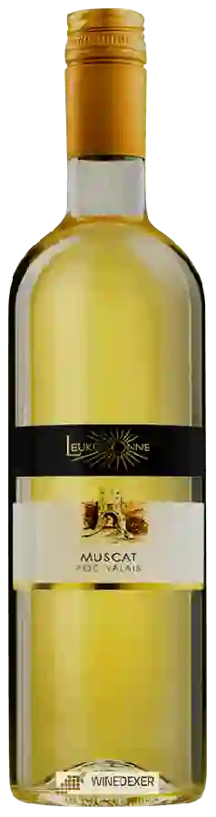 Weingut Leukersonne - Muscat Weingut Leukersonne - Muscat