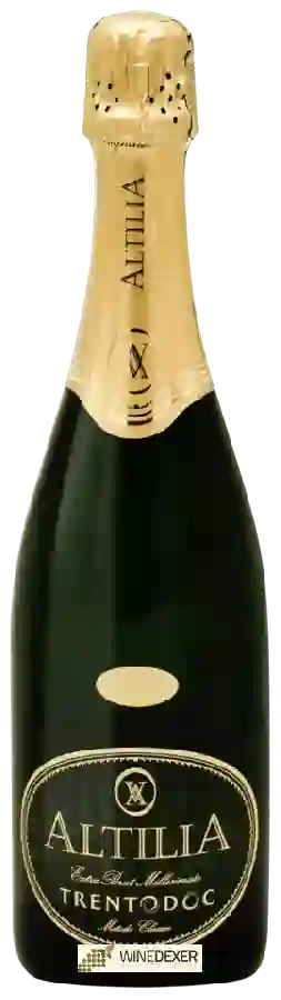 Weingut LeVide - Altilia Extra Brut Millesimato Weingut LeVide - Altilia Extra Brut Millesimato