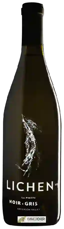 Weingut Lichen - Les Pinots (Noir - Gris) Weingut Lichen - Les Pinots (Noir - Gris)