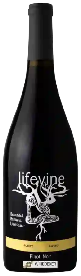 Weingut Lifevine - Pinot Noir Weingut Lifevine - Pinot Noir
