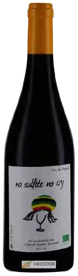 Weingut Lilian & Sophie Bauchet - No Sulfite No Cry