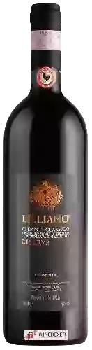 Weingut Tenuta di Lilliano - Chianti Classico Riserva