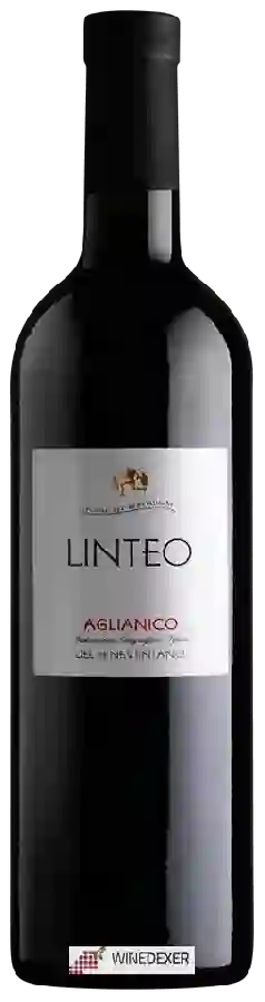 Weingut Linteo - Aglianico del Beneventano Weingut Linteo - Aglianico del Beneventano