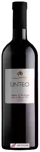 Weingut Linteo - Nero d'Avola