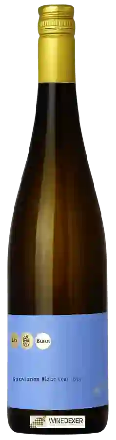 Weingut Lisa Bunn - Sauvignon Blanc vom Löss Weingut Lisa Bunn - Sauvignon Blanc vom Löss