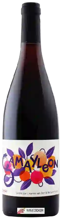 Weingut Lisanne Van Son & Benjamin Serer - Gamayleon Weingut Lisanne Van Son & Benjamin Serer - Gamayleon