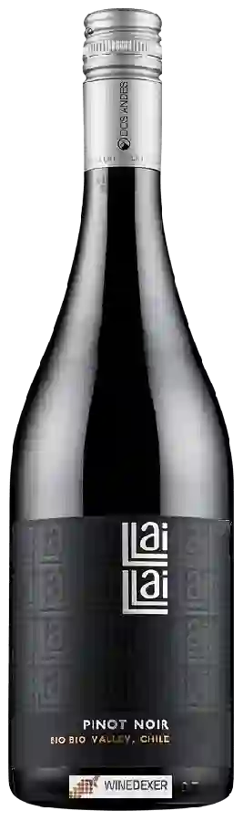 Weingut Llai Llai - Pinot Noir