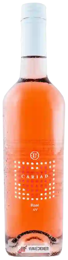 Weingut Llanerch Vineyard - Cariad Rosé