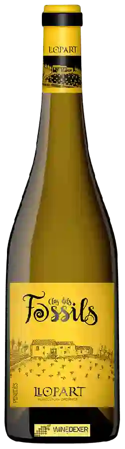 Weingut Llopart - Clos Dels Fòssils Penedès Weingut Llopart - Clos Dels Fòssils Penedès