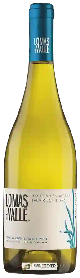 Weingut Lomas del Valle - Sauvignon Blanc Weingut Lomas del Valle - Sauvignon Blanc