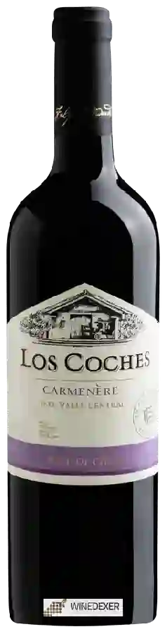 Weingut Los Coches - Carmenère Weingut Los Coches - Carmenère