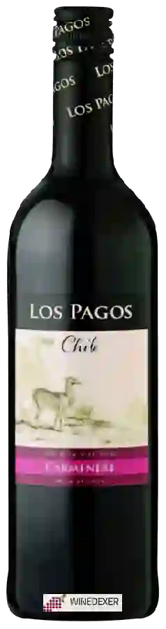 Weingut Los Pagos - Carmenère Weingut Los Pagos - Carmenère