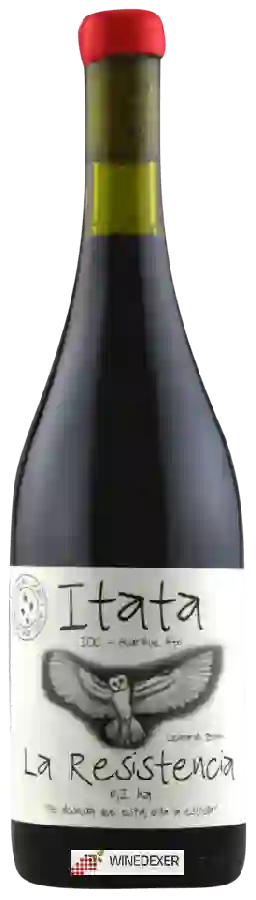 Weingut A Los Viñateros Bravos - La Resistencia Weingut A Los Viñateros Bravos - La Resistencia