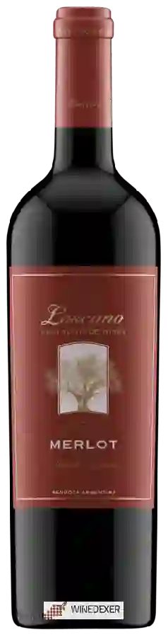 Weingut Loscano - Private Reserve Merlot