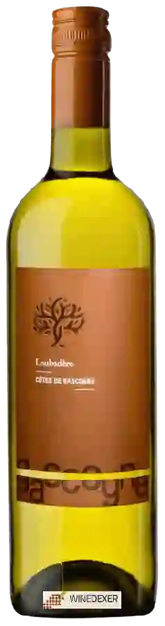 Domaine Loubadère - Côtes de Gascogne Blanc