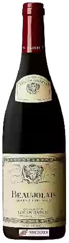 Weingut Louis Jadot - Beaujolais