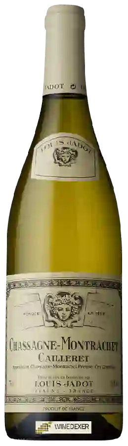Weingut Louis Jadot - Chassagne Montrachet Caillerets