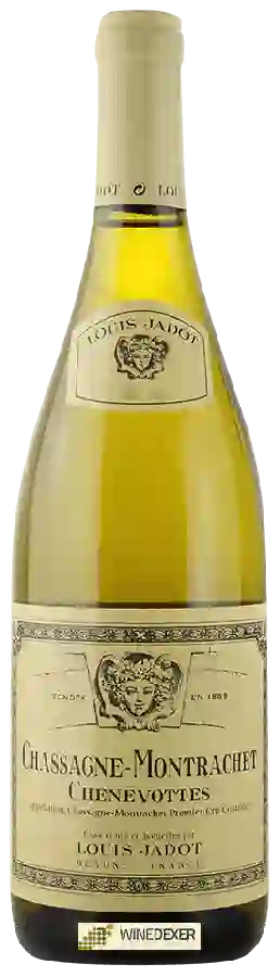 Weingut Louis Jadot - Chassagne Montrachet Chenevottes