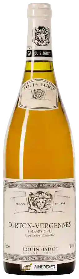 Weingut Louis Jadot - Corton Grand Cru Vergennes