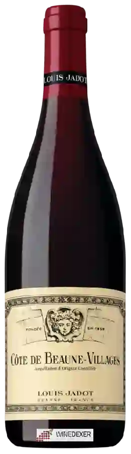 Weingut Louis Jadot - Côte de Beaune Villages