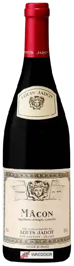 Weingut Louis Jadot - Mâcon