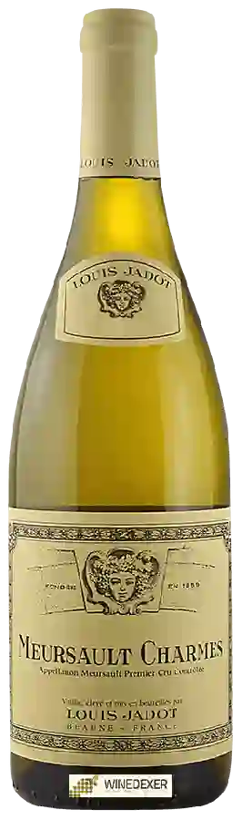 Weingut Louis Jadot - Meursault Charmes Weingut Louis Jadot - Meursault Charmes