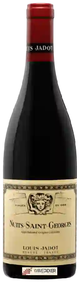 Weingut Louis Jadot - Nuits-Saint-Georges Weingut Louis Jadot - Nuits-Saint-Georges