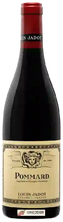 Weingut Louis Jadot - Pommard