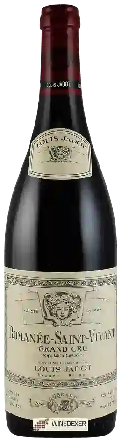 Weingut Louis Jadot - Romanée-Saint-Vivant Grand Cru Weingut Louis Jadot - Romanée-Saint-Vivant Grand Cru