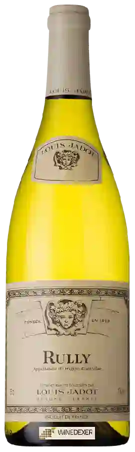 Weingut Louis Jadot - Rully Blanc Weingut Louis Jadot - Rully Blanc
