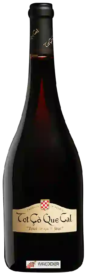 Château Plaisance - Tot Çò Que Cal Fronton Château Plaisance - Tot Çò Que Cal Fronton