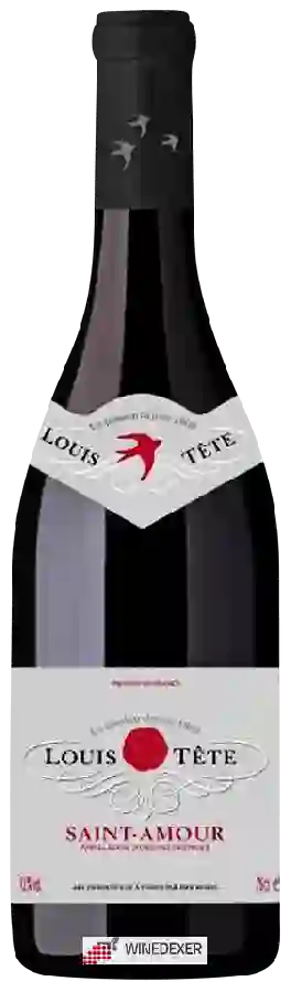 Weingut Louis Tête - Saint-Amour