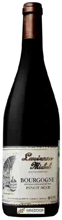 Weingut Lucienne Michel - Bourgogne Pinot Noir
